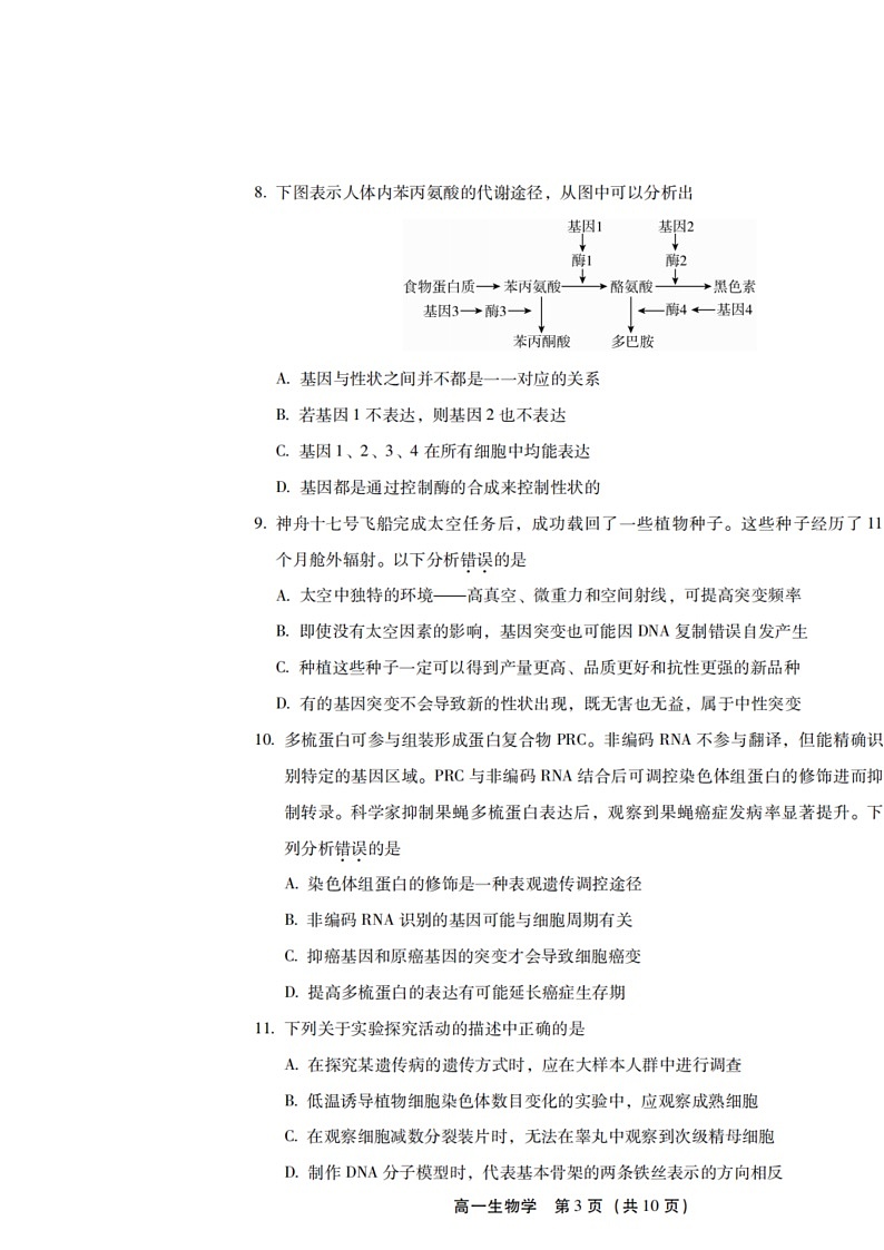 [生物]2024北京丰台高一下学期期末生物试卷及答案第3页