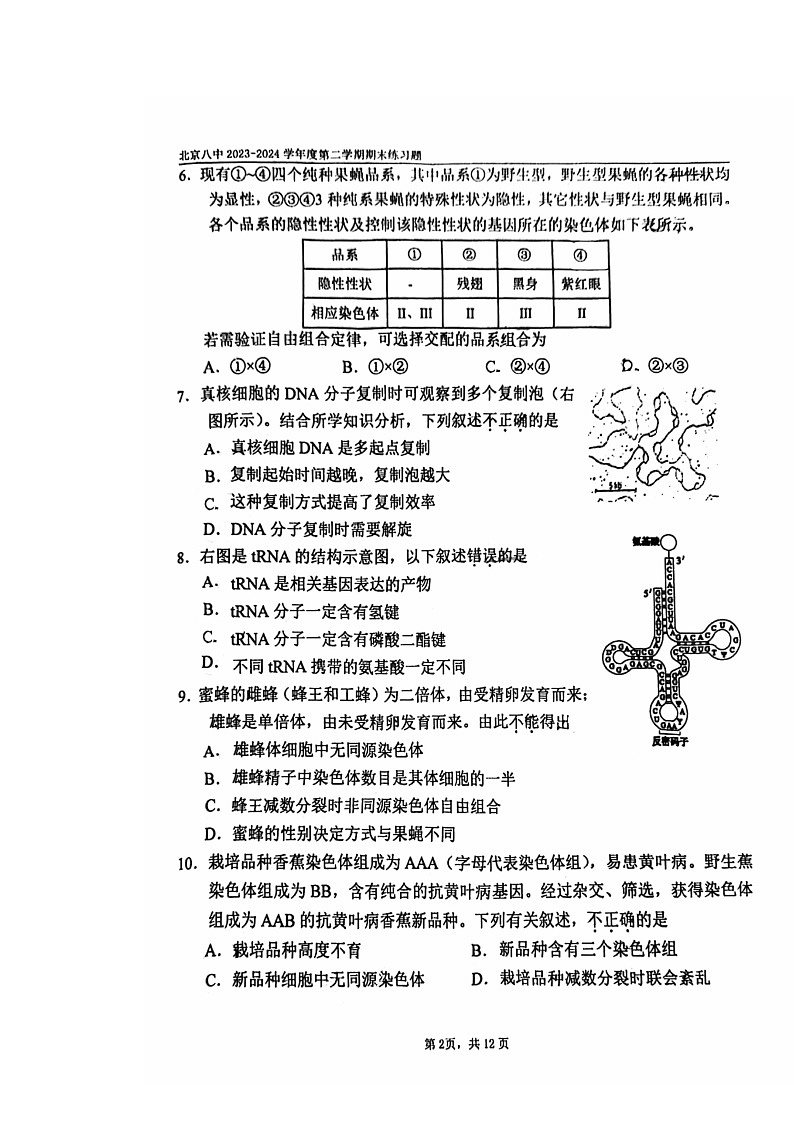 [生物]2024北京八中高一下学期期末生物试卷及答案02