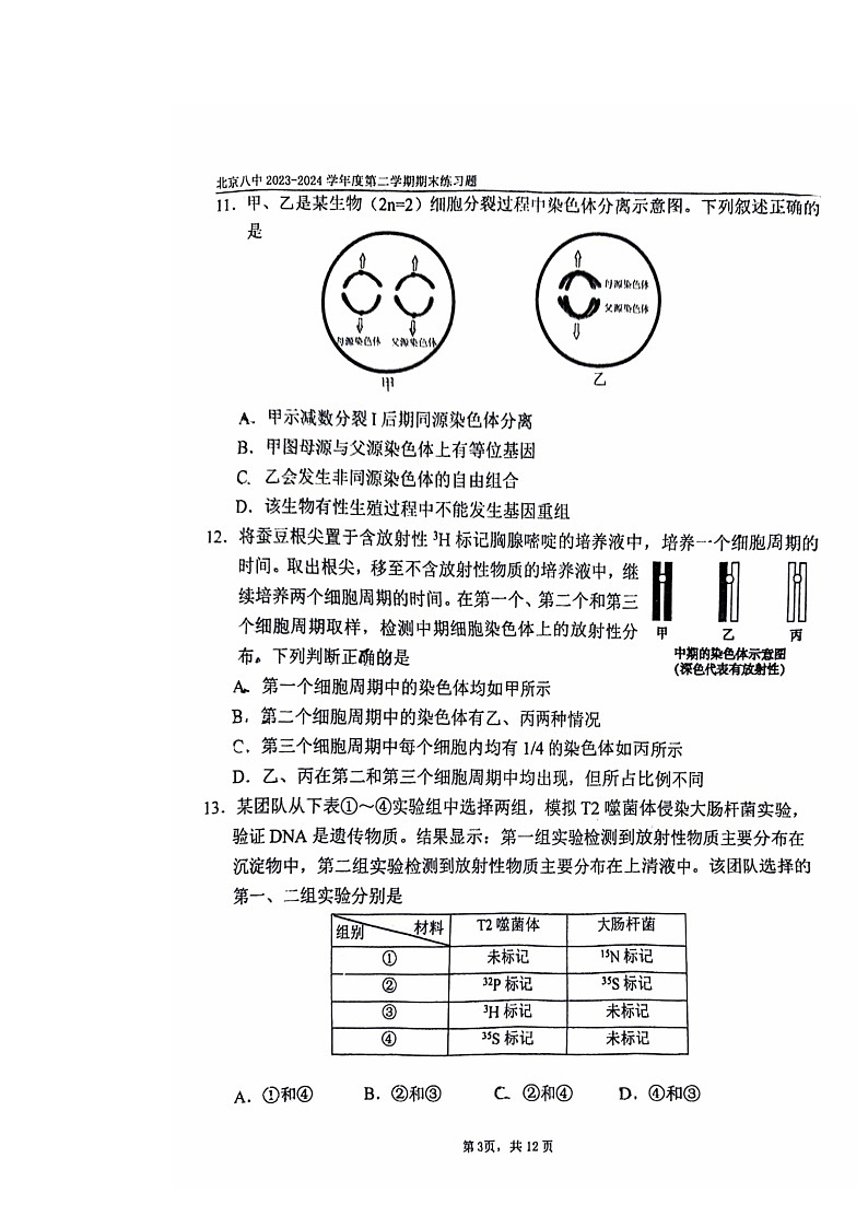 [生物]2024北京八中高一下学期期末生物试卷及答案03