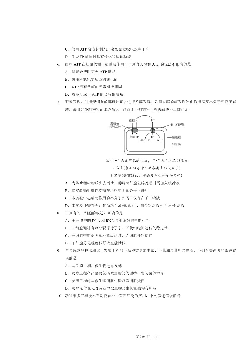 [生物]2024北京昌平高二下学期期末生物试卷及答案02