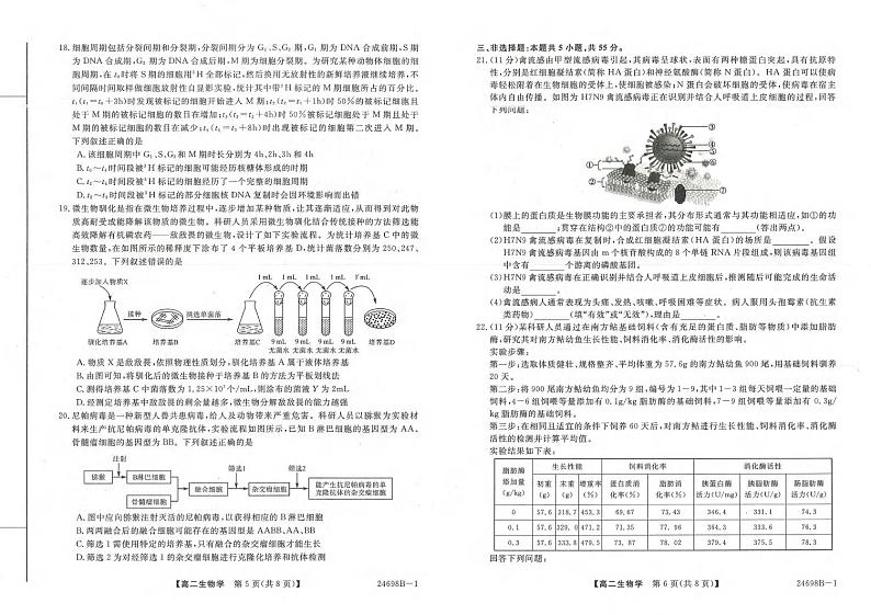 生物丨金科新未来河南省2025届高三7月期末质量检测联考生物试卷及答案03