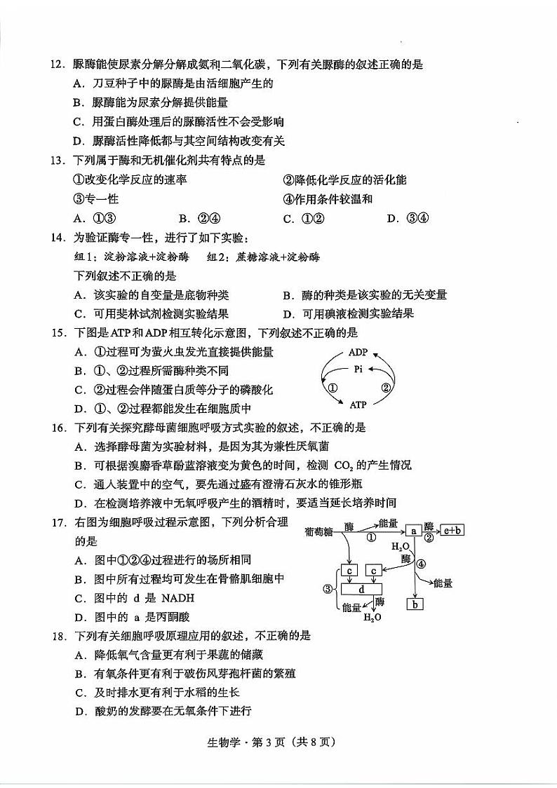 云南省大理白族自治州2023-2024学年高一下学期7月期末生物试题第3页