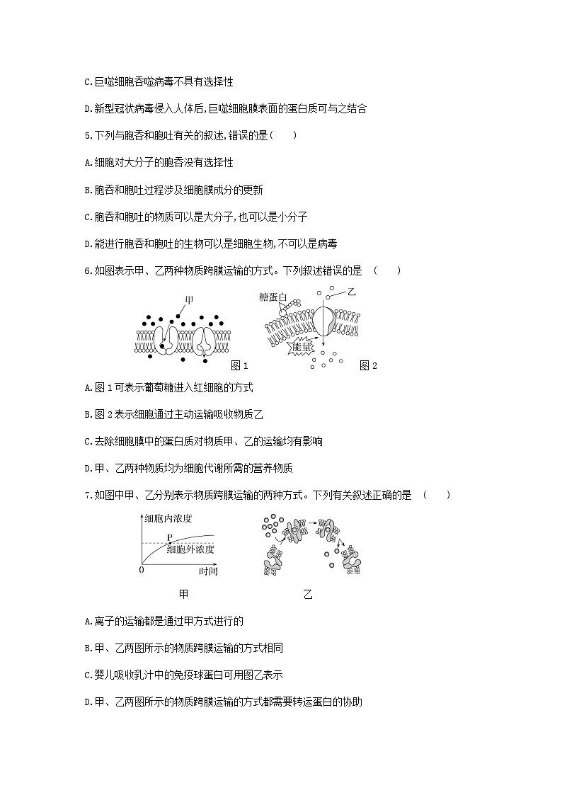 新人教版  高一 生物必修一  第四章 第二节 主动运输与胞吞、胞吐  课时练（含答案）第2页