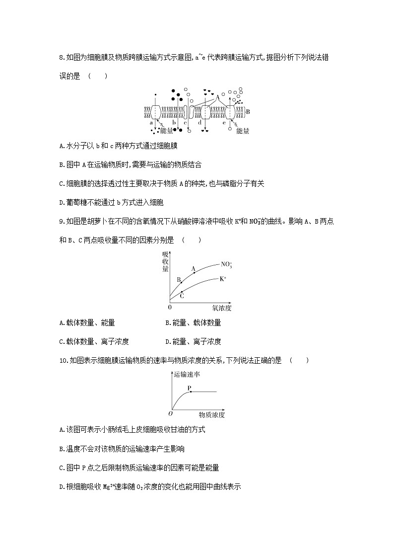 新人教版  高一 生物必修一  第四章 第二节 主动运输与胞吞、胞吐  课时练（含答案）第3页