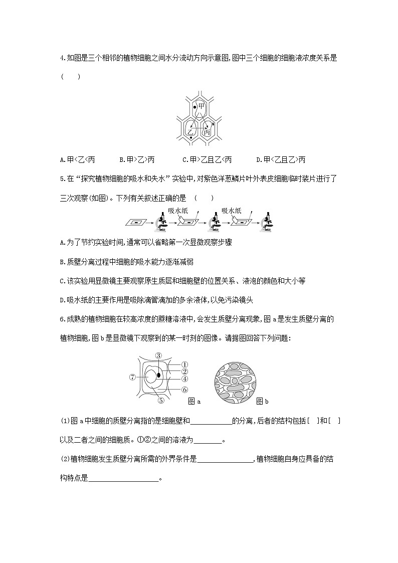 新人教版  高一 生物必修一  第四章 第一节 被动运输  课时练（含答案）第2页
