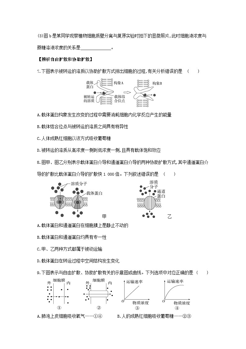 新人教版  高一 生物必修一  第四章 第一节 被动运输  课时练（含答案）第3页