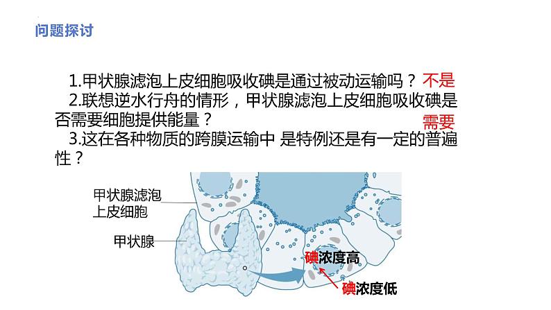 新人教版  高一 生物必修一  第四章 第二节 主动运输与胞吞、胞吐  课件ppt04