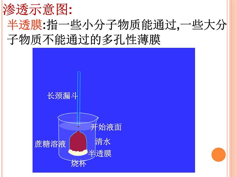 新人教版  高一 生物必修一  第四章 第一节 被动运输  课件ppt第4页