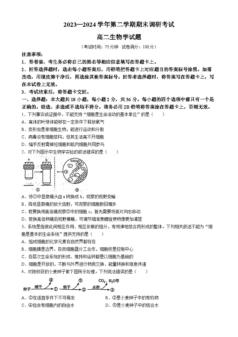 河南省开封市2023-2024学年高二下学期期末考试生物试题01
