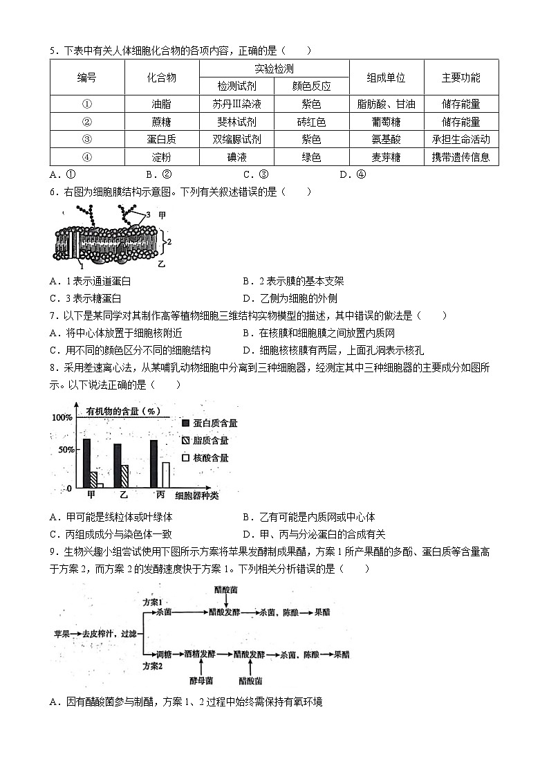 河南省开封市2023-2024学年高二下学期期末考试生物试题02