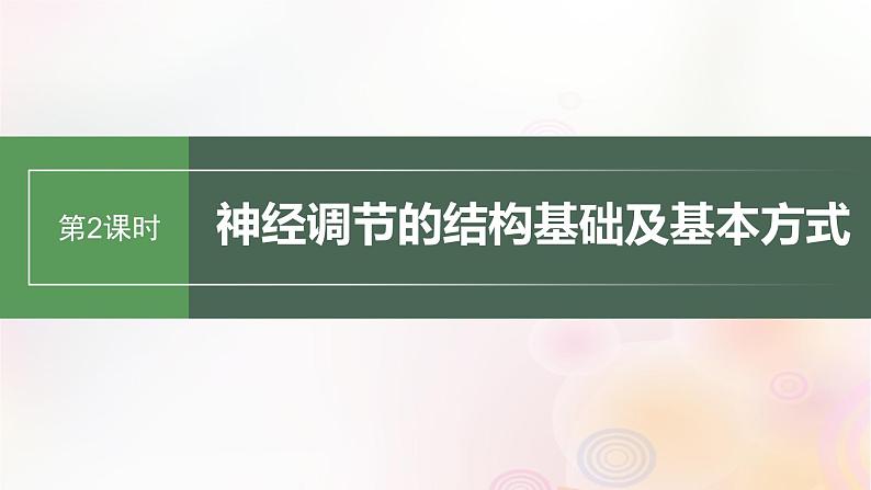 鲁湘辽新教材2024届高考生物一轮复习第八单元生命活动的调节第2课时神经调节的结构基础及基本方式课件第1页