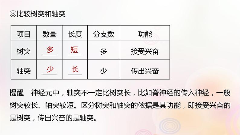 鲁湘辽新教材2024届高考生物一轮复习第八单元生命活动的调节第2课时神经调节的结构基础及基本方式课件第8页