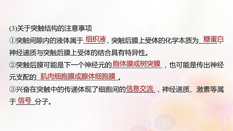 鲁湘辽新教材2024届高考生物一轮复习第八单元生命活动的调节第3课时神经冲动的产生传导和传递课件第8页