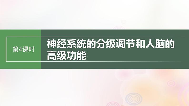 鲁湘辽新教材2024届高考生物一轮复习第八单元生命活动的调节第4课时神经系统的分级调节和人脑的高级功能课件01