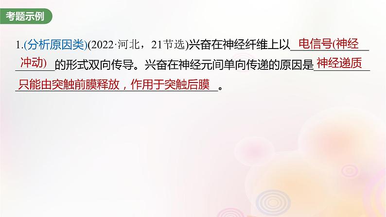 鲁湘辽新教材2024届高考生物一轮复习第八单元生命活动的调节长句表达四个体稳态中相关过程变化机理分析课件02