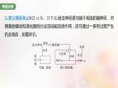鲁湘辽新教材2024届高考生物一轮复习第八单元生命活动的调节长句表达四个体稳态中相关过程变化机理分析课件