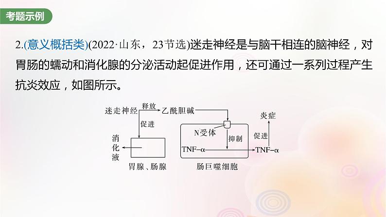 鲁湘辽新教材2024届高考生物一轮复习第八单元生命活动的调节长句表达四个体稳态中相关过程变化机理分析课件03