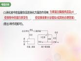 鲁湘辽新教材2024届高考生物一轮复习第八单元生命活动的调节长句表达四个体稳态中相关过程变化机理分析课件