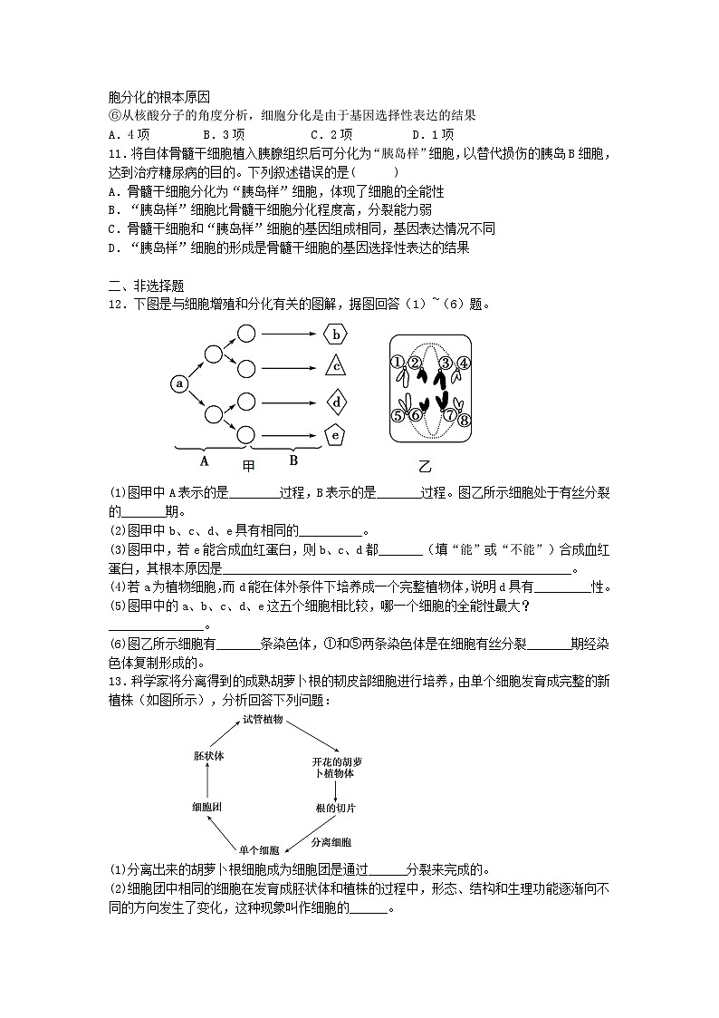 新人教版  高一 生物必修一  第六章 第二节  细胞的分化  课时练（含答案）03