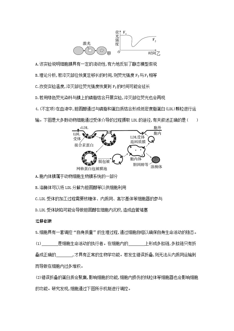 新人教版  高一 生物必修一 第三章 细胞的基本结构  章节综合拔高练（含答案）第3页