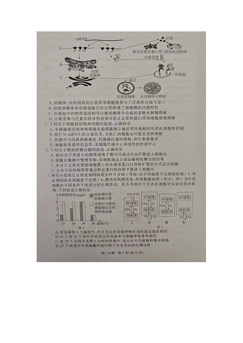 河北省张家口市2023-2024学年高二下学期7月期末考试生物试题第2页