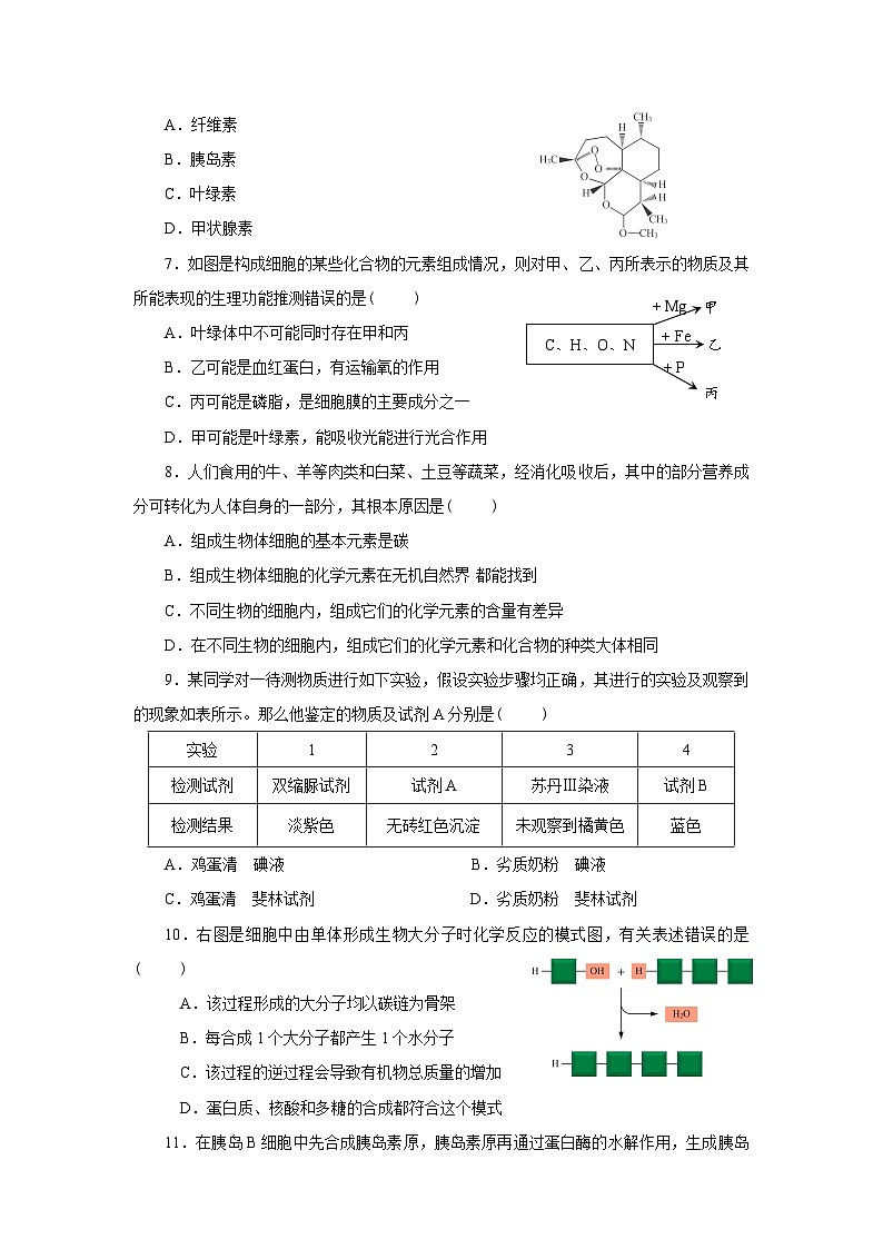 新人教版  高一 生物必修一  第2章 组成细胞的分子  综合练习题（含答案）第2页