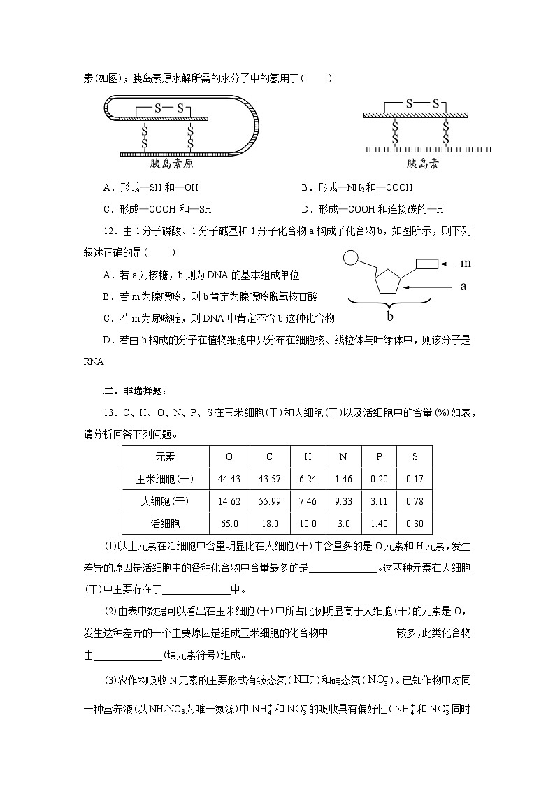 新人教版  高一 生物必修一  第2章 组成细胞的分子  综合练习题（含答案）第3页