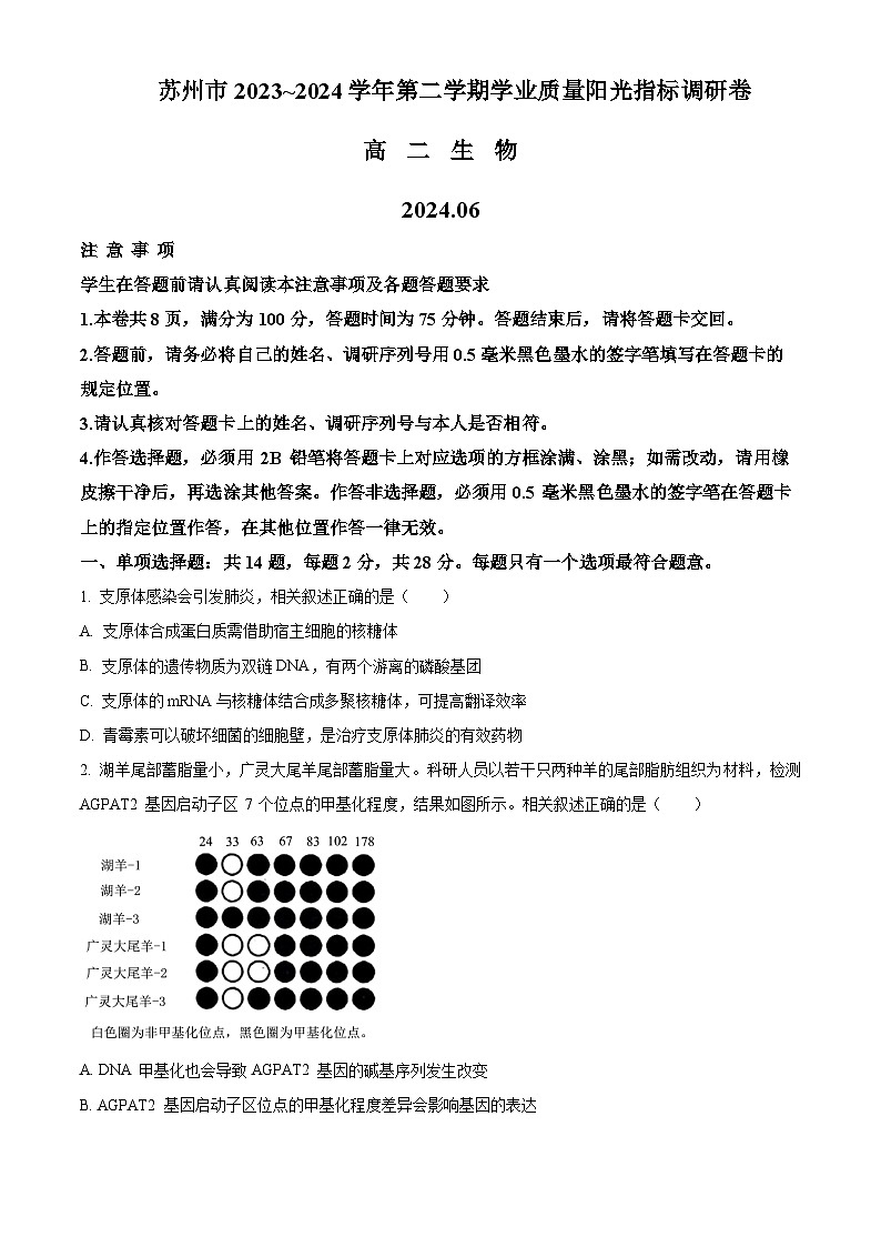 2024苏州高二下学期6月期末考试生物含解析第1页