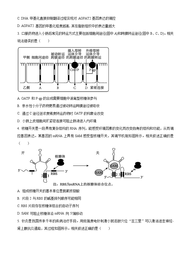 2024苏州高二下学期6月期末考试生物含解析第2页