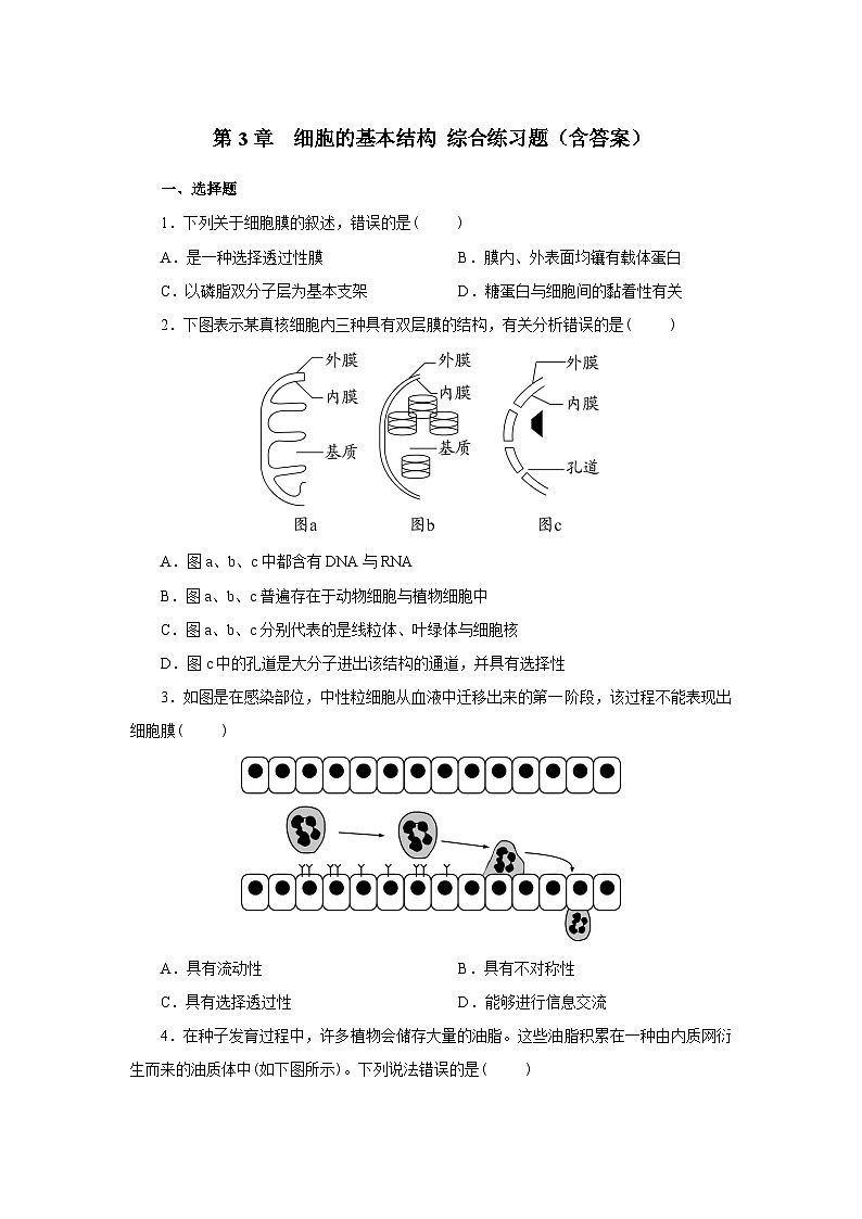新人教版 高一 生物必修一 第三章 细胞的基本结构 章节复习综合练习题（含答案）01
