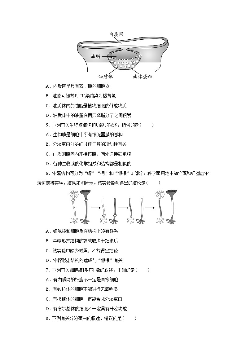 新人教版 高一 生物必修一 第三章 细胞的基本结构 章节复习综合练习题（含答案）02