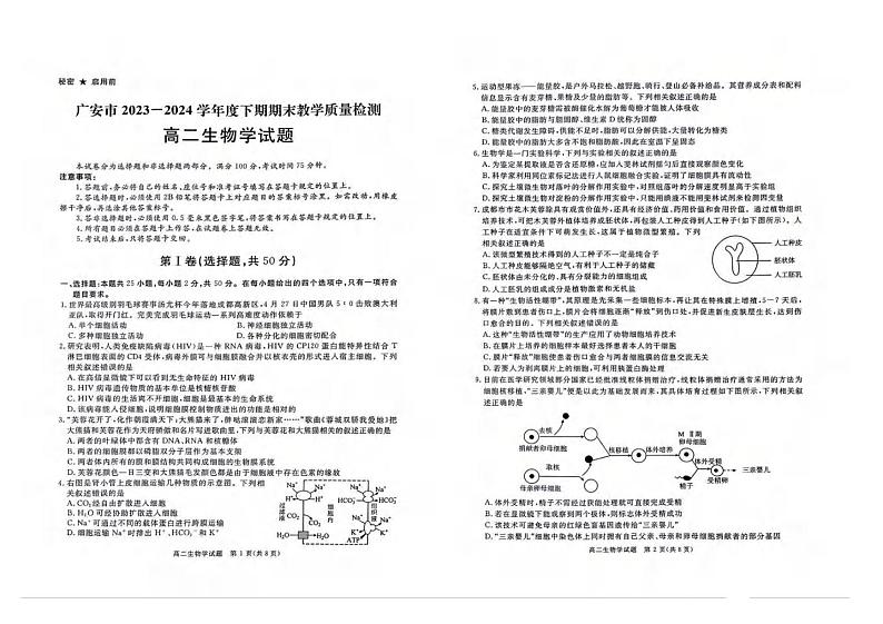 生物丨四川省九市2025届高三期末质量检测联考生物试卷及答案01