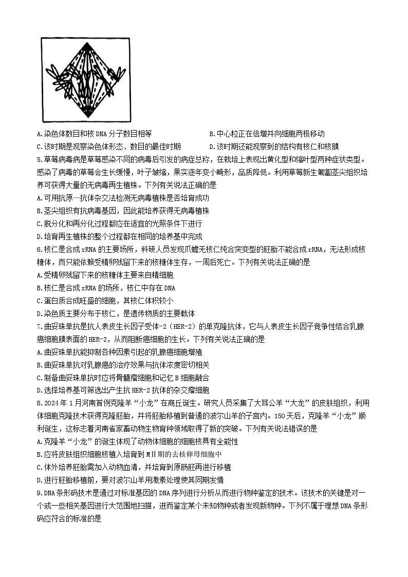 河南省林州市2023-2024学年高二下学期期末考试生物试题02