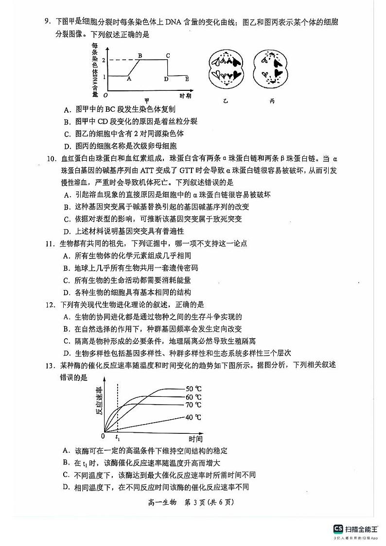 广西壮族自治区白色市2023-2024学年高一下学期期末考试生物试题03