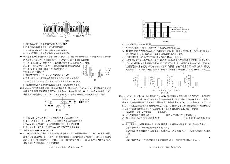 生物-广西上进联考·2023-2024学年南宁市高二年级下学期期末考试调研测试试题和答案03