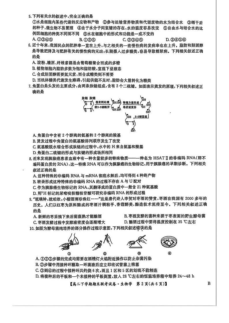 生物-河南省商丘市商师联盟2023-2024学年高二下学期7月期末联考试题和答案第2页