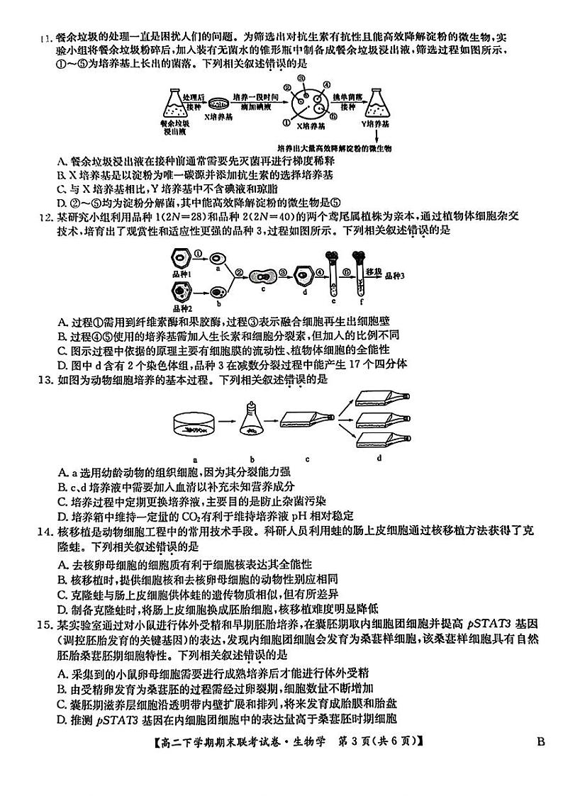 生物-河南省商丘市商师联盟2023-2024学年高二下学期7月期末联考试题和答案第3页