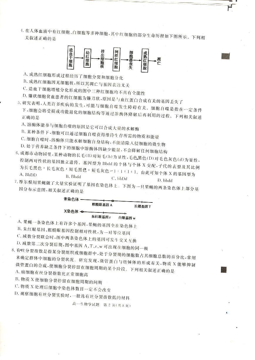 四川省巴中市普通高中2023-2024学年高一下学期期末学情检测生物试题第2页