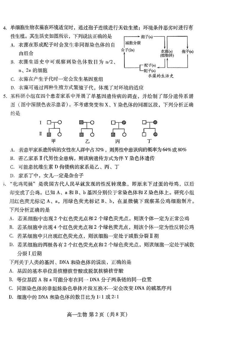 山东省潍坊市2023-2024学年高一下学期期末考试生物试题02