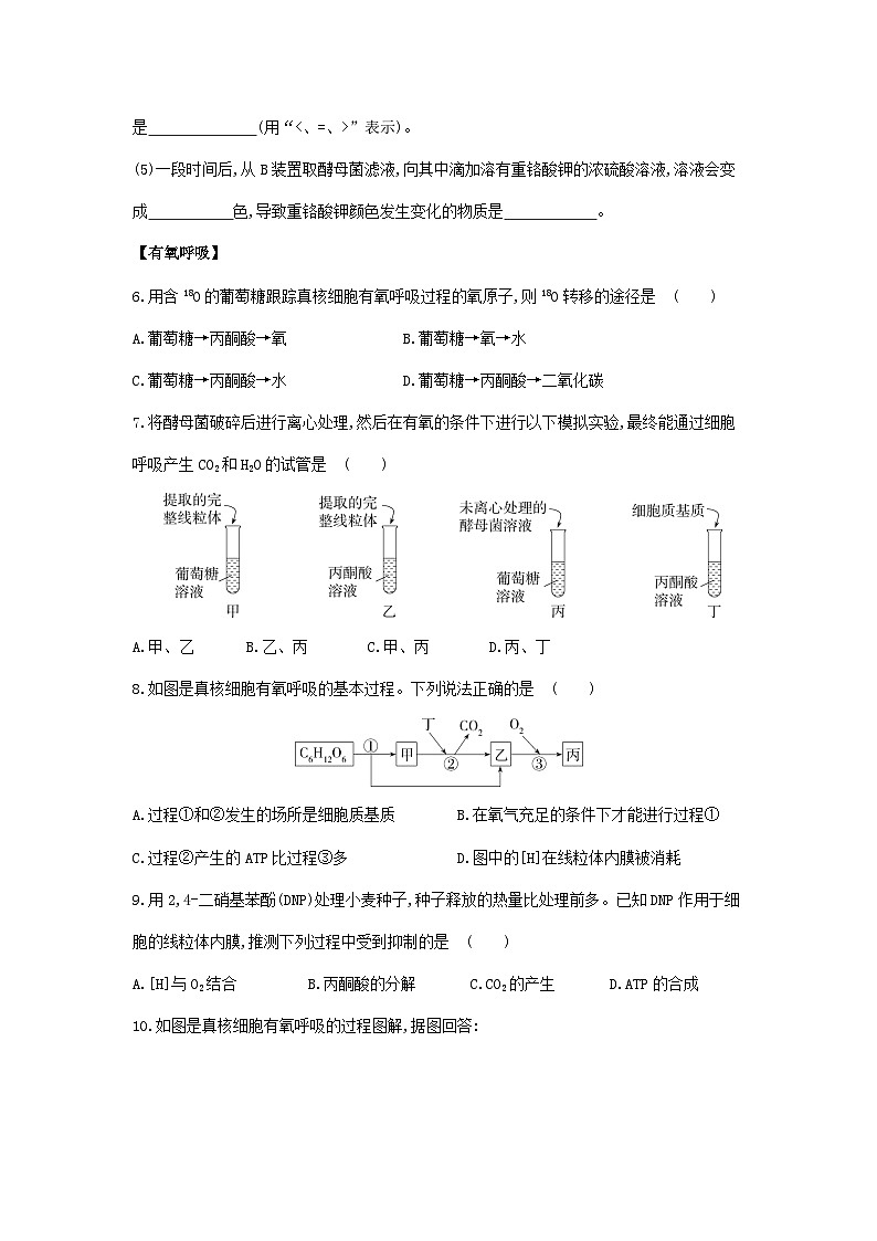 新人教版  高一 生物必修一  第五章 第三节  细胞呼吸的原理和应用   2个课时  课时练（含答案）03