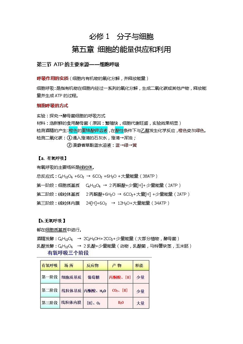新人教版  高一 生物必修一  第五章 第三节 细胞呼吸的原理和应用  知识清单01