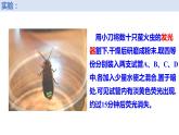 新人教版  高一 生物必修一  第五章 第二节  细胞的能量“货币”ATP  课件ppt