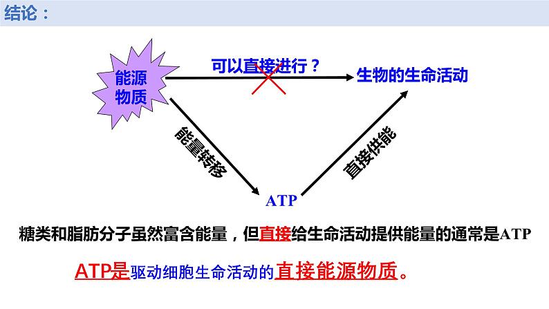 新人教版  高一 生物必修一  第五章 第二节  细胞的能量“货币”ATP  课件ppt06