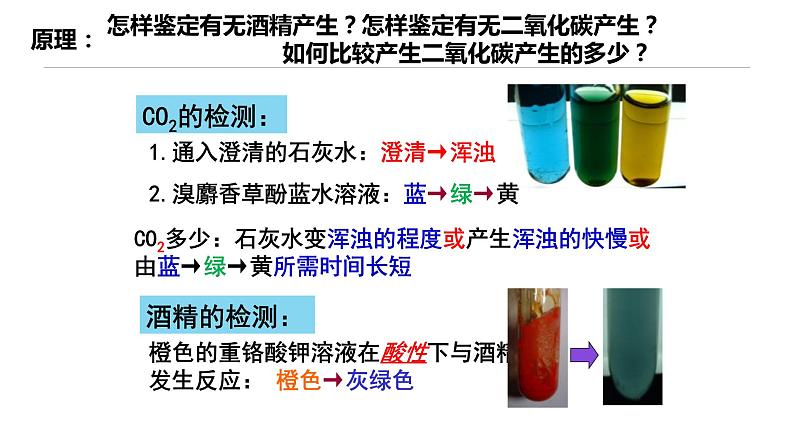 新人教版  高一 生物必修一  第五章 第三节 细胞呼吸的原理和应用  课件ppt06