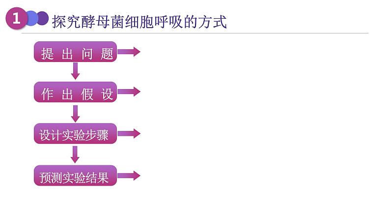 新人教版  高一 生物必修一  第五章 第三节 细胞呼吸的原理和应用  课件ppt07