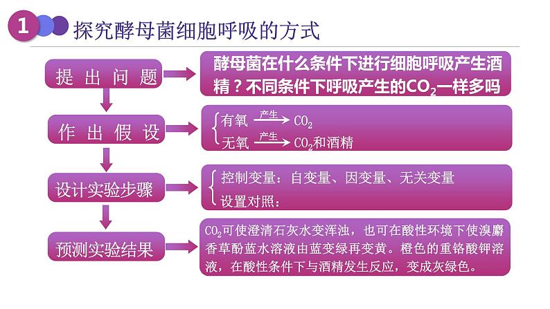 新人教版  高一 生物必修一  第五章 第三节 细胞呼吸的原理和应用  课件ppt08