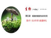 新人教版  高一 生物必修一  第五章 第四節(jié)  光合作用與能量轉(zhuǎn)化（第1課時(shí) 捕獲光能的色素和結(jié)構(gòu)）課件ppt