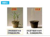 新人教版  高一 生物必修一  第五章 第四節(jié)  光合作用與能量轉(zhuǎn)化（第1課時(shí) 捕獲光能的色素和結(jié)構(gòu)）課件ppt