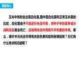 新人教版  高一 生物必修一  第五章 第四節(jié)  光合作用與能量轉(zhuǎn)化（第1課時(shí) 捕獲光能的色素和結(jié)構(gòu)）課件ppt