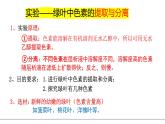 新人教版  高一 生物必修一  第五章 第四節(jié)  光合作用與能量轉(zhuǎn)化（第1課時(shí) 捕獲光能的色素和結(jié)構(gòu)）課件ppt
